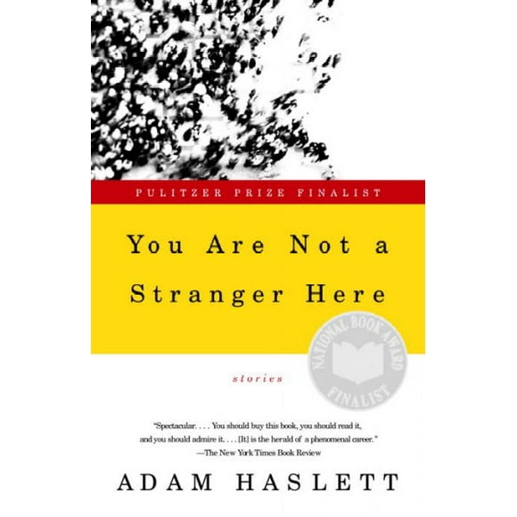 Pre-owned You Are Not a Stranger Here : Stories, Paperback by Haslett, Adam, ISBN 0385720726, ISBN-13 9780385720724