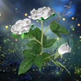 thumbnail image 1 of Rosas artificiales - con 3 luces LED, impermeables, con energía solar - Hermosa decoración para jardín, césped y balcón - Blanco Zhivalor LHH-1559, 1 of 2
