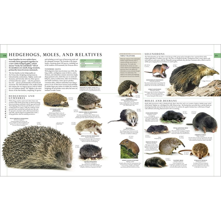 The Natural History Book: The Ultimate Visual Guide to