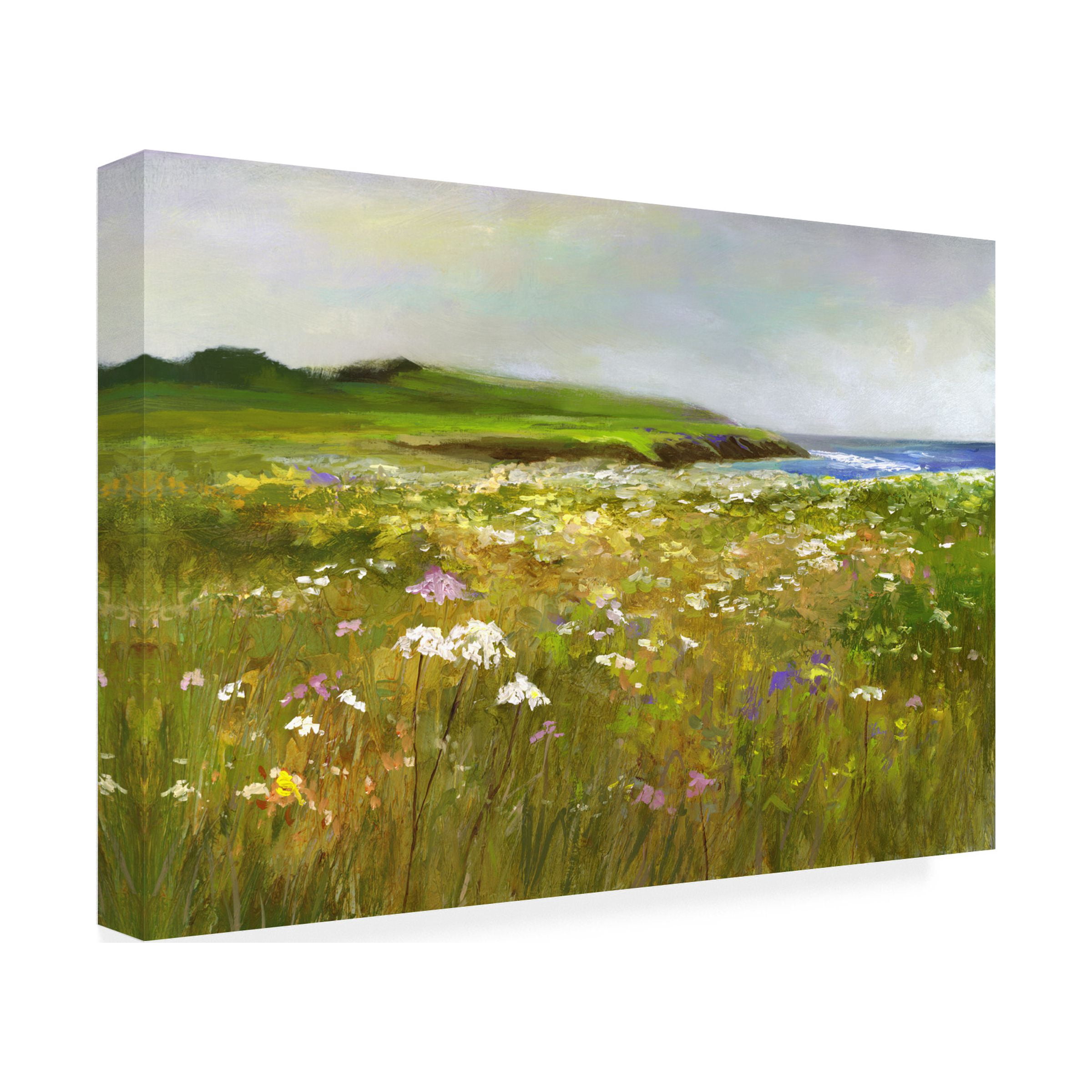 Sheila Finch 'Montara Bluffs' Canvas Art