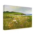 thumbnail image 2 of Sheila Finch 'Montara Bluffs' Canvas Art, 2 of 4