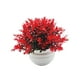 thumbnail image 3 of Planta falsa en maceta, accesorios para fotos, decoración de bonsái artificial, pequeñas plantas falsas para el hogar Rojo, 3 of 9