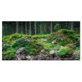 thumbnail image 2 of Wild Deep Forest Rocks and Hills - Landscape Canvas Art Print, 2 of 3