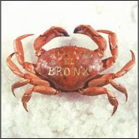 Pre-Owned Mariachi El Bronx (I) (CD 0823777013925) by Mariachi El Bronx