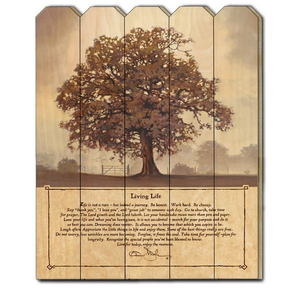 Living Life by Bonnie Mohr Printed Framed Wall Art Wood Multi-Color