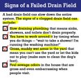 thumbnail image 4 of Acelerador de tabletas Drain Field Cleaner del Dr. Pooper, 4 of 9