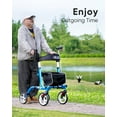 HEAO Rollator Walker for Seniors,10" Wheels Walker with Cup Holder
