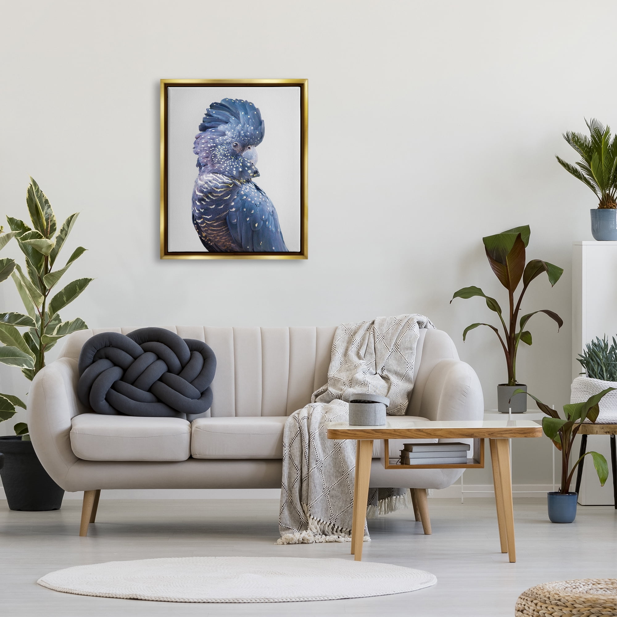 Stupell Industries Grey Cockatoo Portrait Animals & Insects Photography Gold Floater Framed Art Print Wall Art, 25 x 31