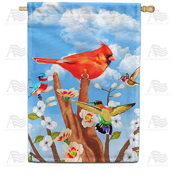 America Forever Spring Cardinal House Flag 28 x 40 inches Double Sided Hummingbird, Flowers, Bluebird, Happy Summer - Seasonal Yard Lawn Outdoor Decorative Spring Floral House Flag