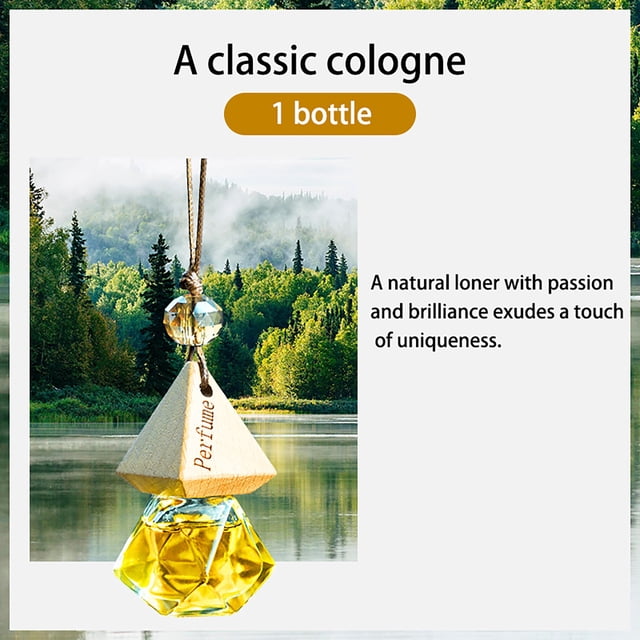 Hbdhejl Car Air Hanging Fragrance Oil Diffuser – Car Air Diffuser For Oils Aromatherapy Automobile Diffuser Long Lasting Car Diffuser Bottle 10Ml