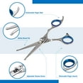 thumbnail image 4 of Laazar Pro, Professional Dog Grooming Scissors, Sharp Straight 5.5 inches Pet shears with Safety Round Tip, Ball Point for Nose, Ear and Face, 4 of 5