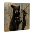 thumbnail image 2 of Stupell Industries Black Bear and Cubs Soft Birch Tree Forest, 24 x 24, Design by Collin Bogle, 2 of 5