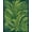 Green, Pattern 4, variant on Flatwoven High Traffic Area Rug, Native Rainforest Inspired Weave With Tropical Foliage, Non Slip, Stain Resistant, Washable Area Rugs for Living Room, Bedroom(Green, 2X3)