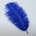 thumbnail image 4 of 20 Pcs Natural Ostrich Feathers,Bexikou 8-10inch Ostrich Feathers Plume for Wedding Centerpieces Home Decoration, 4 of 7