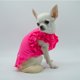 thumbnail image 2 of Playera para perro Mascotti Flor de Amor Rosa XS, 2 of 3