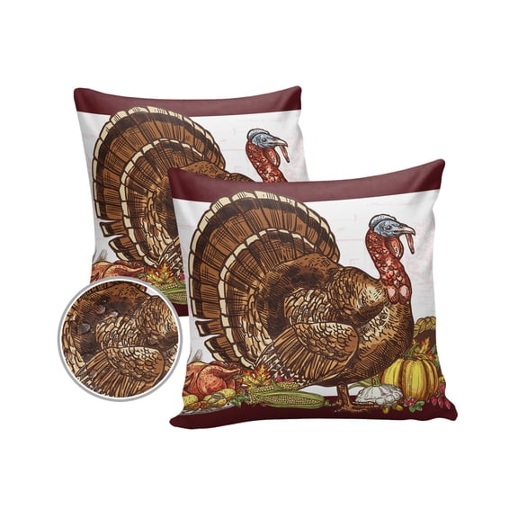 Pack of 2 Outdoor Pillow Covers, Fall Thanksgiving Farm Turkey Retro Waterproof Square Throw Pillowcase Cushion Decorative Pillow Covers for Couch Patio Tent, 18x18 in