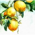 thumbnail image 2 of Bolokofsky, Ronald 26x26 Black Ornate Wood Framed with Double Matting Museum Art Print Titled - Lemons, 2 of 4