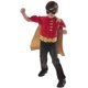 thumbnail image 1 of DC Comics Robin Muscle Chest Shirt Cape & Mask talla S 4/6, 1 of 3