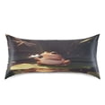 thumbnail image 3 of Cartoon Frog King Size Pillowcase Ultra Soft Silky Fabric Wrinkle Fade Resistant 20x40in, 3 of 9