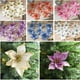 thumbnail image 4 of EeaseMX 10 flores artificiales con purpurina de 13 cm para decoración de árbol de Navidad (doradas), 4 of 7