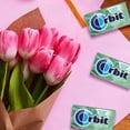 thumbnail image 5 of Orbit Sweet Mint Sugar-Free Gum Multipack - 14ct/3pk, 5 of 5