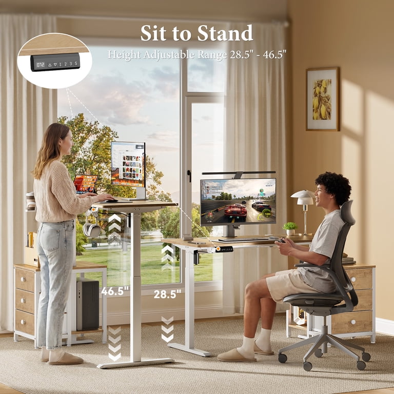 Gunaito 47.2" Electric Standing Desk with File Cabinet photo 3