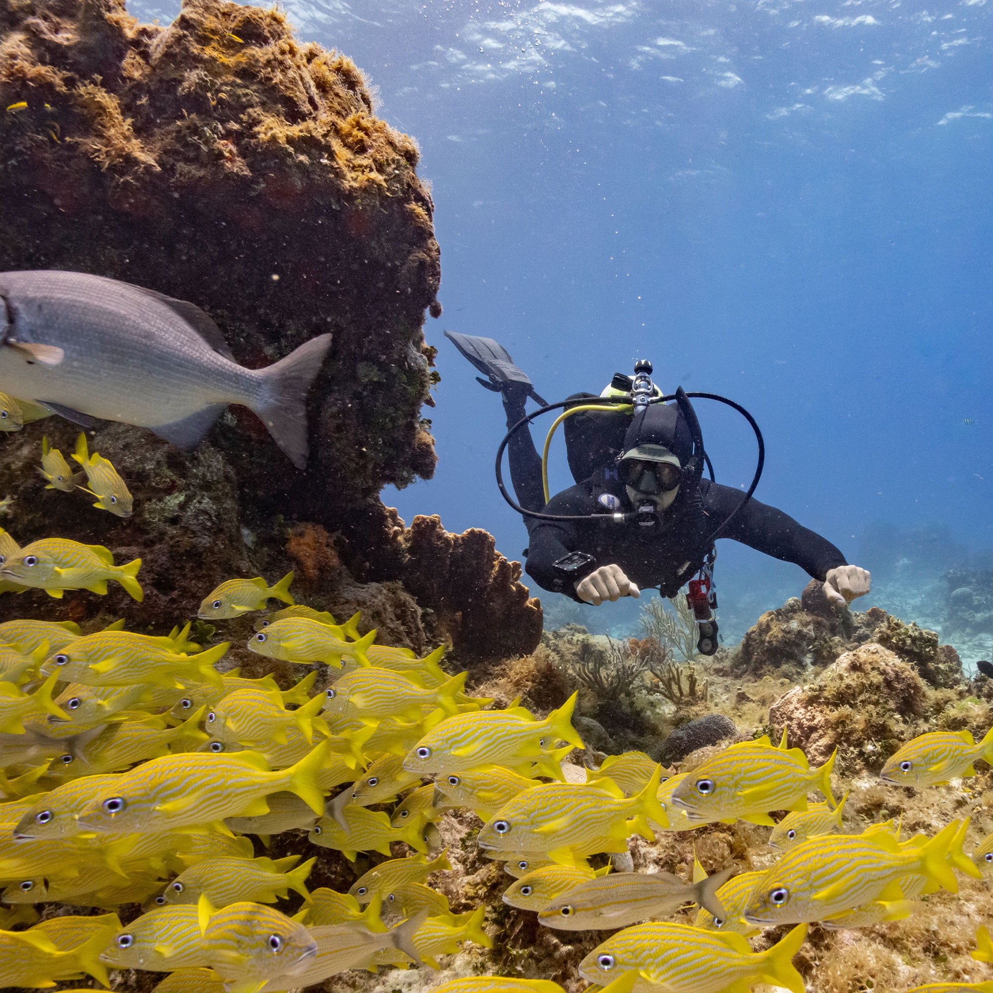 Garmin Descent X30 Scuba Dive Computer