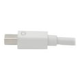 thumbnail image 6 of Tripp Lite Mini DisplayPort to VGA/DVI/HDMI Adapter Converter mDP 6in 6" White - DVI/HDMI/Mini DisplayPort/VGA for Notebook, Chromebook, Monitor, Audio/Video Device, Tablet, MacBook, Projector, T, 6 of 8
