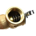 thumbnail image 4 of Thrifco 4401749 150# T&P Valve 2 InchProbe, 4 of 6