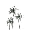 thumbnail image 2 of Paschke, Chris 23x32 White Modern Wood Framed Museum Art Print Titled - Shadow Palms I, 2 of 4