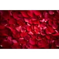thumbnail image 4 of 8x6ft,Valentine's Day Backdrop,Valentine Photography Background,Red Rose Photo Backdrops for Party Decorations, 4 of 4