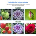 thumbnail image 4 of LED Grow Light Strip for Indoor Plants, Plant Growing Lamps Red Blue Spectrum for Seed Starting with Remote Control, 36W, 180 LEDs, Auto On / Off Timer, 10 Dimmable Levels, 4 Pack (Red+Blue), 4 of 7