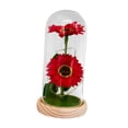 thumbnail image 4 of Regalos de girasol en cúpula de cristal, girasol artificial en cúpula de cristal, luz de noche Estilo D, 4 of 9