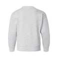 thumbnail image 3 of Hanes Boys Fleece Crew Neck Sweatshirt, Sizes 4-18, 3 of 3