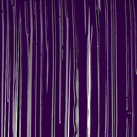 Plum Twilight