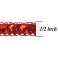 thumbnail image 3 of 20 yards of Thea Sequin Cord Braid Trim, 3 of 5