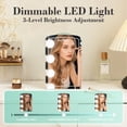 thumbnail image 2 of iceBlue LED Mirror Skincare Refrigerator- 4L Mini Fridge for Makeup & Drinks - Car/Home Portable Cooler, 2 of 9