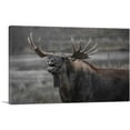 thumbnail image 1 of ARTCANVAS Alaskan Moose Home Decor Rectangle Canvas Art Print - Size: 26" x 18" (1.50" Deep), 1 of 9