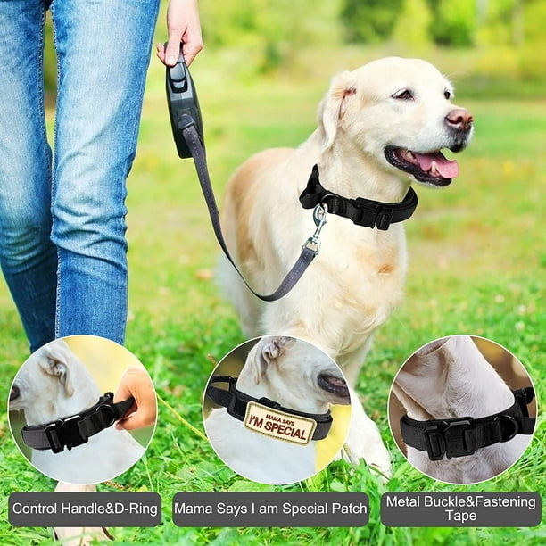 Dog collars with buckle fastening hot sale