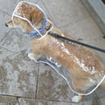 thumbnail image 1 of Paokuoon Imperméable Transparent pour Chien, Imperméable pour Animaux, Design à Boutons-Pression, Capuche Réglable, Coupe-Vent, Doux, 1 of 7
