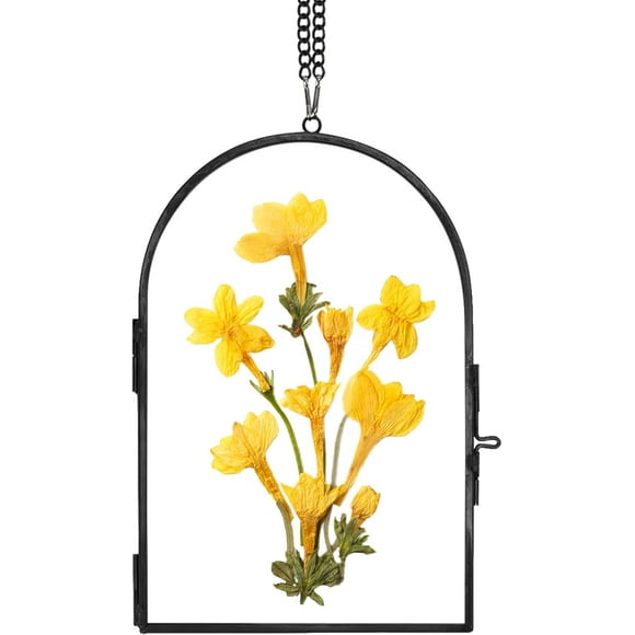 shiyou-Glass Pressed Flower Frame Handmade, Glass Frame For Pressed Flowers, Wall Hanging Floating Frame, Unique Double Glass Picture Frame for Dried Flowers Poster Home Decor, ArcShapedBlack