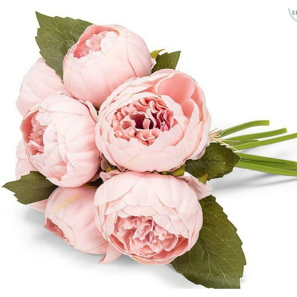 Full Peony Bouquet