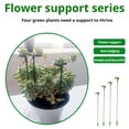 thumbnail image 6 of Taicans 10Pcs Plant Support Stakes,20 inch Plant Stakes Garden Orchid Sticks,Plant Sticks Support Tall for Monstera,Orchids,Tomatoes,Vines & Indoor Outdoor Plants, 6 of 9