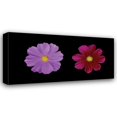 thumbnail image 1 of Vitaly Geyman 24x14 Gallery Wrapped Canvas Wall Art Titled - Cosmos Flower Duet, 1 of 4