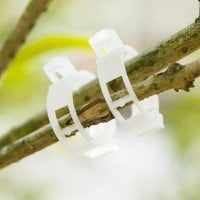 EcoStake  Mini Plant Clips Support Tomatoes, Peppers, Vine Plants and Flowers (Best Tomato Support System)