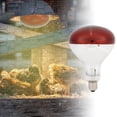 thumbnail image 3 of Bombilla de lámpara de calor para pollitos bombilla de lámpara de calor duradera 250W para pollo para aves de corral ANGGREK Otros, 3 of 8