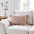 thumbnail image 2 of My Texas House 14" x 20" Samantha Rose Pink Chenille Tassel Decorative Pillow, 2 of 5