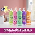 thumbnail image 4 of Sedal Rizos Definidos styling cream (Sedal Obedient Leave In Conditioner) 300 ml, 4 of 6
