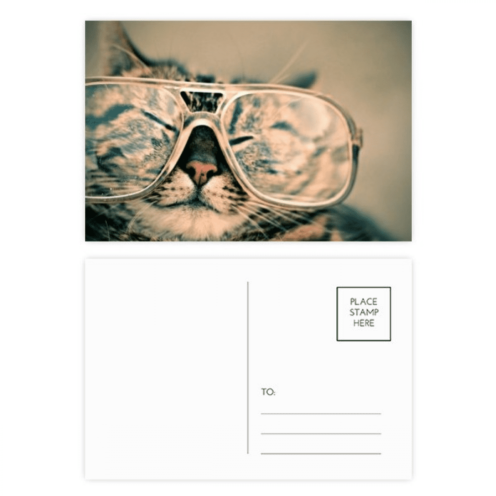 animal glasses cat photograph postcard set birthday mailing thanks greeting card