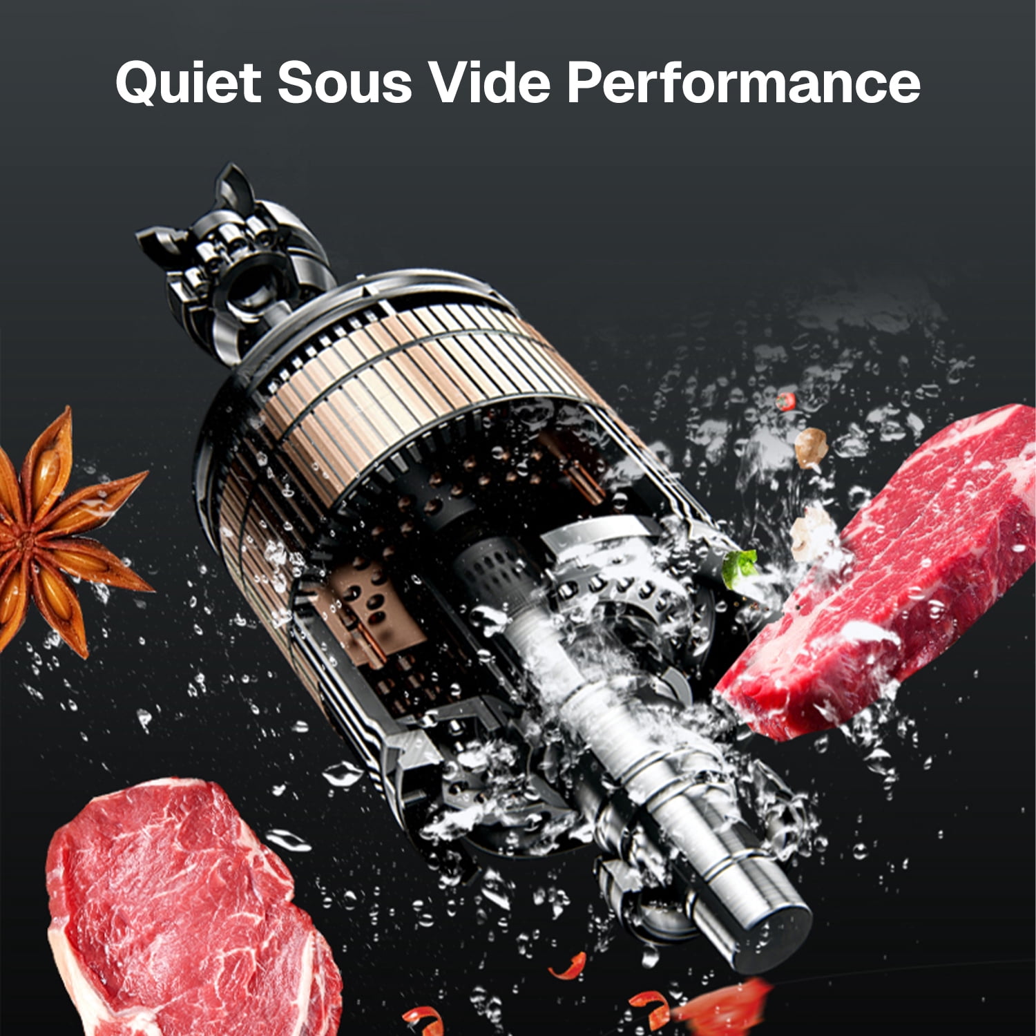 Behome Sous Vide Cooker Machine, 1100W Precision Cooker,Waterproof Immersion Circulator ,Sous Vide Machines with Digital Touch Screen for Home Kitchen